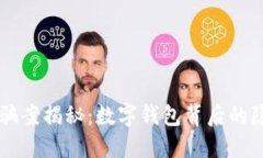 特大诈骗案揭秘：数字钱