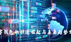 数字钱包的快速崛起与未