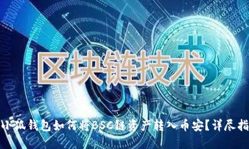 : 小狐钱包如何将BSC链资产转入币安？详尽指南