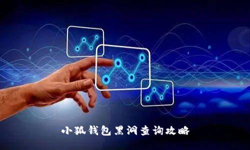 小狐钱包黑洞查询攻略