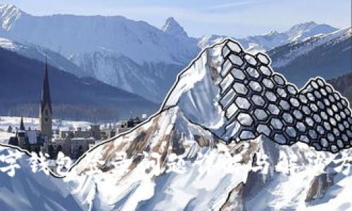 数字钱包登录问题详解与解决方案