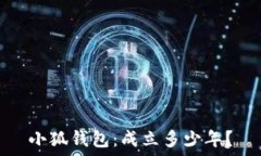   小狐钱包：成立多少年？