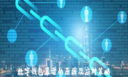 
数字钱包暴雷的原因及应对策略