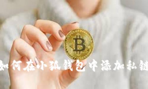 如何在小狐钱包中添加私链