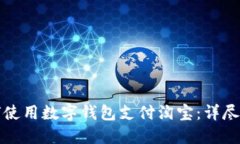如何使用数字钱包支付淘