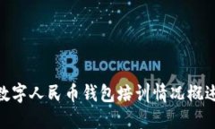 数字人民币钱包培训情况