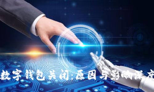 :
对公数字钱包关闭：原因与影响深度分析