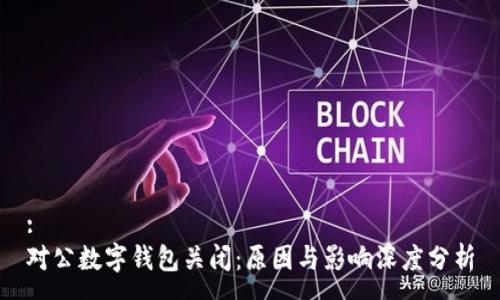 :
对公数字钱包关闭：原因与影响深度分析