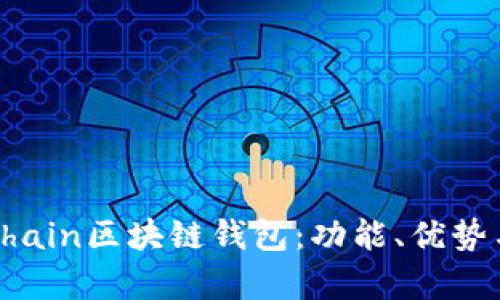 全面解析Chain区块链钱包：功能、优势与应用场景