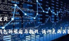 与关键词数字钱包的崛起与挑战：试行点的关键