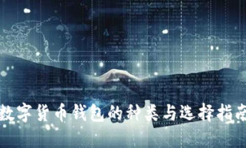 数字货币钱包的种类与选择指南
