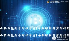小狐钱包是否可以分身？全面解析与实用指南小