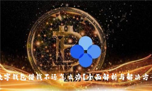 数字钱包借钱不还怎么办？全面解析与解决方案