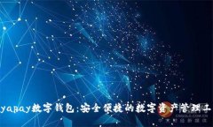 biyapay数字钱包：安全便捷