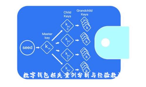 数字钱包损失案例分析与经验教训