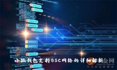 小狐钱包支持BSC网络的详细解析