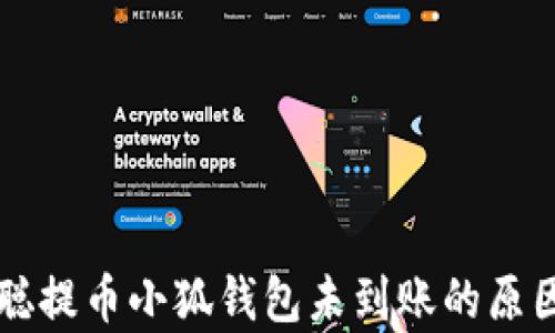 
中本聪提币小狐钱包未到账的原因解析