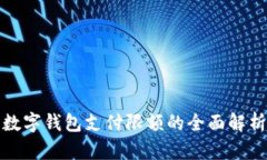 数字钱包支付限额的全面