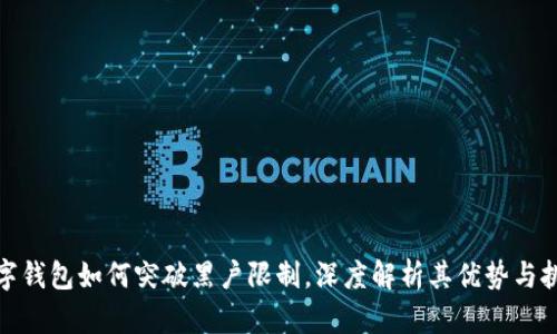 数字钱包如何突破黑户限制，深度解析其优势与挑战