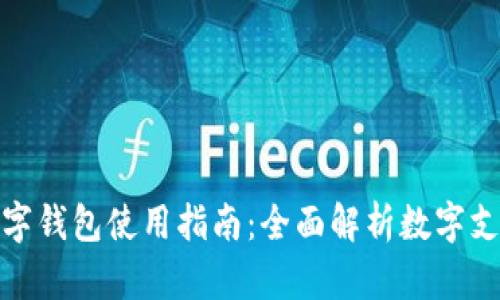 长沙数字钱包使用指南：全面解析数字支付体验