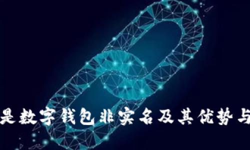 什么是数字钱包非实名及其优势与挑战