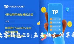 :数字钱包20：未来的支付