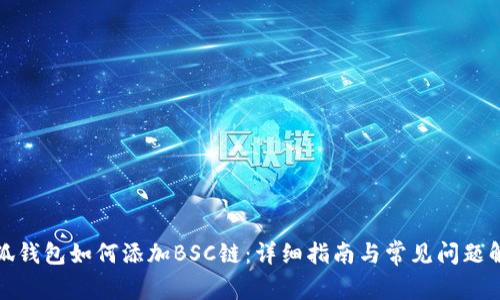 小狐钱包如何添加BSC链：详细指南与常见问题解答