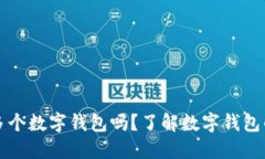 一人可以开多个数字钱包