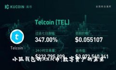 小狐钱包的AXM币：数字资