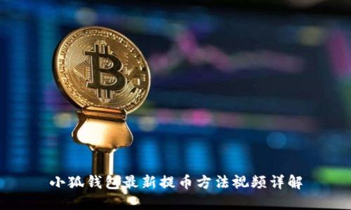 小狐钱包最新提币方法视频详解