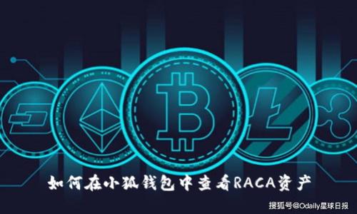 如何在小狐钱包中查看RACA资产