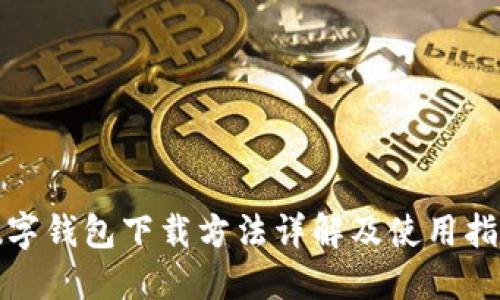数字钱包下载方法详解及使用指南