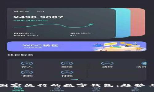 南美国家流行的数字钱包：趋势与选择