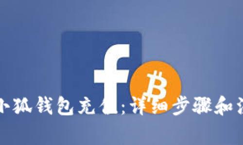 如何给小狐钱包充值：详细步骤和注意事项
