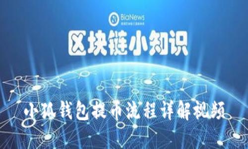 小狐钱包提币流程详解视频