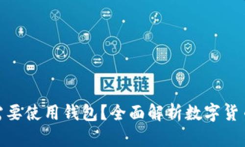 数字币为什么需要使用钱包？全面解析数字货币钱包的重要性