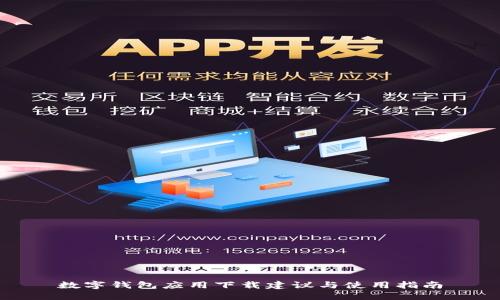 数字钱包应用下载建议与使用指南