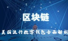 美国流行数字钱包全面解
