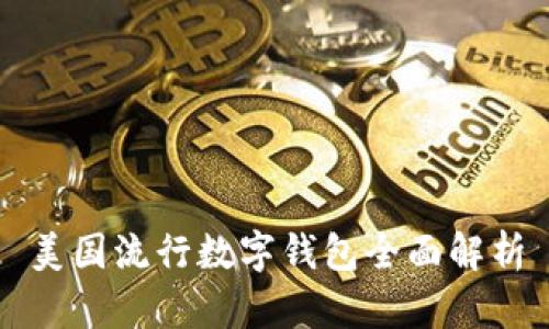 美国流行数字钱包全面解析