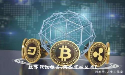 数字钱包推荐：哪些可以使用？