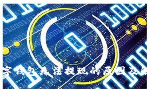 建行数字钱包无法提现的原因及解决方案