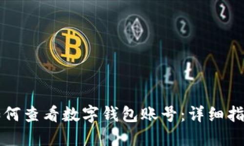 如何查看数字钱包账号：详细指南