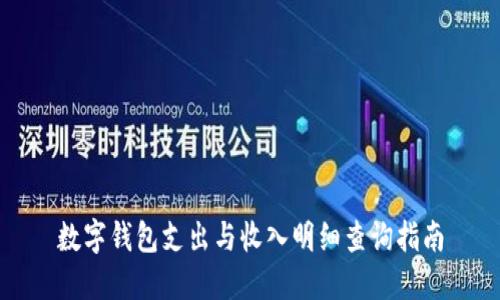 数字钱包支出与收入明细查询指南