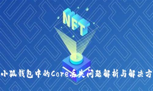 : 小狐钱包中的Core丢失问题解析与解决方案