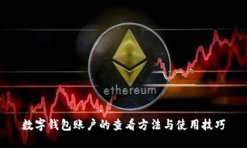 数字钱包账户的查看方法与使用技巧