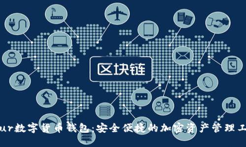 Blur数字货币钱包：安全便捷的加密资产管理工具