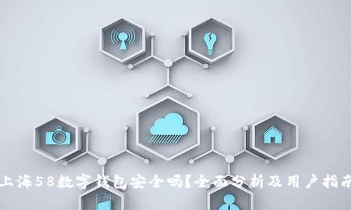 上海58数字钱包安全吗？全面分析及用户指南