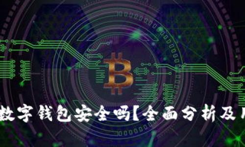上海58数字钱包安全吗？全面分析及用户指南