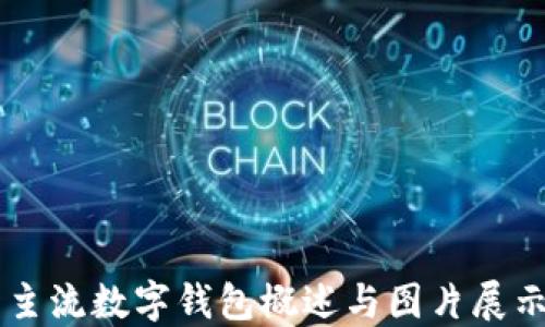 
主流数字钱包概述与图片展示