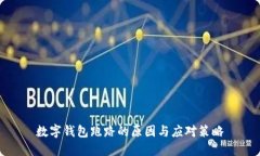数字钱包跑路的原因与应